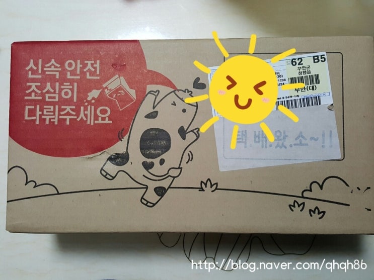 베이비또율 이미지