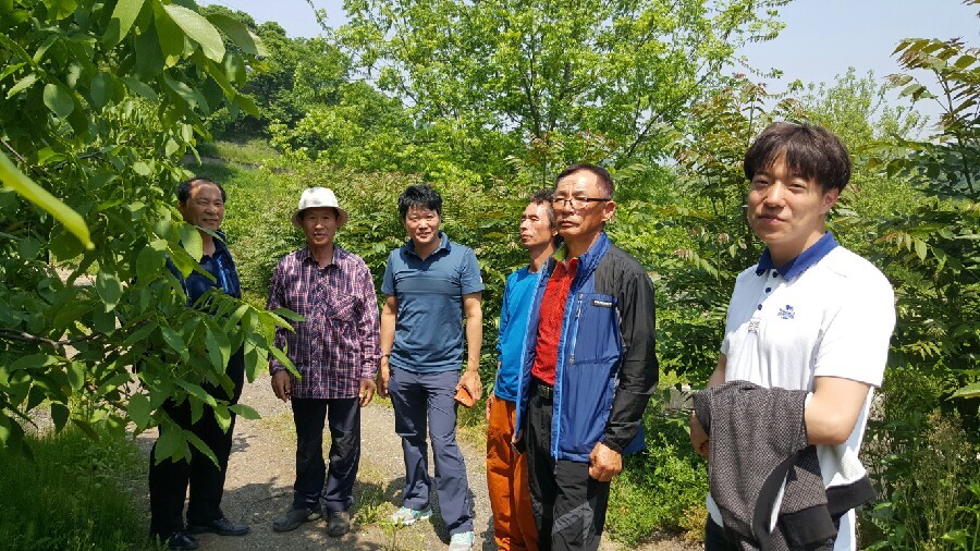 대흥농장 이미지