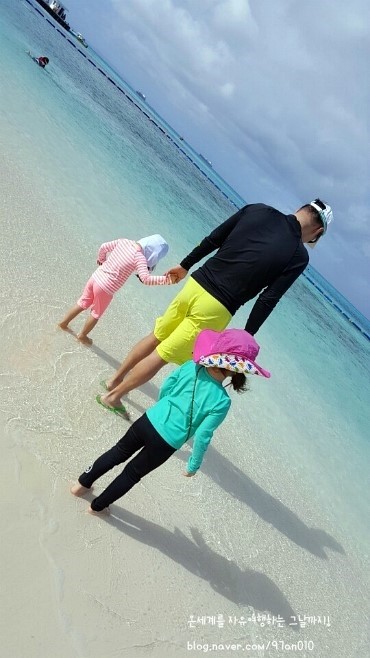 바람부는섬 이미지