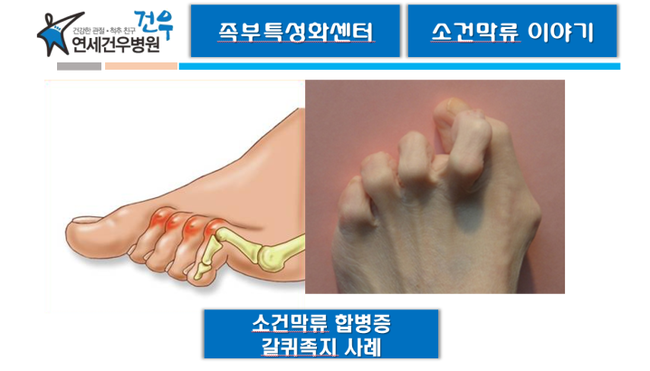 (합)경*류 이미지