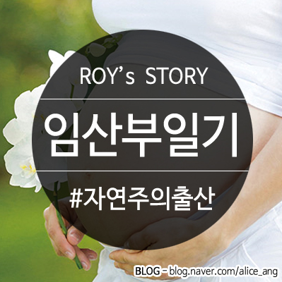 영상메디플라워 이미지