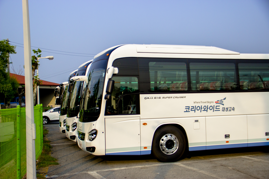 와이드대성 이미지