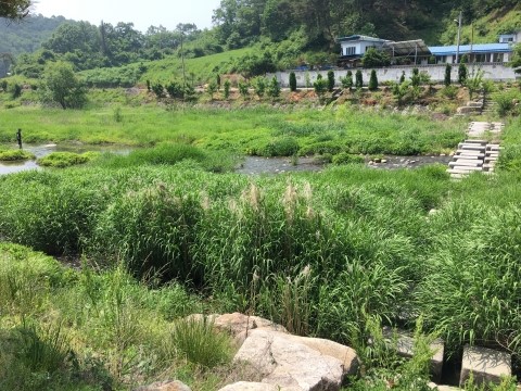 충효복사 이미지