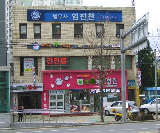 대성인력개발 이미지