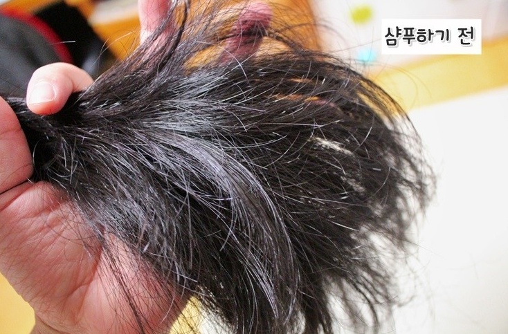 꿀;헤어 이미지