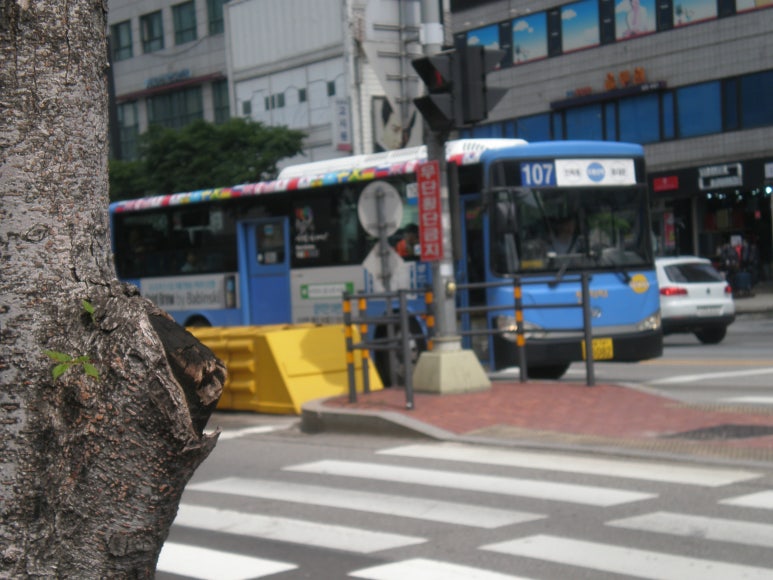 주공4단지약수터 이미지