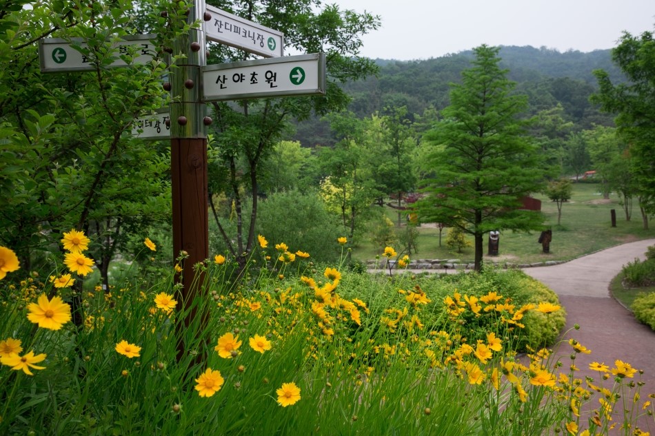 황학산수목원 이미지