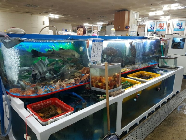 광선회센타 이미지