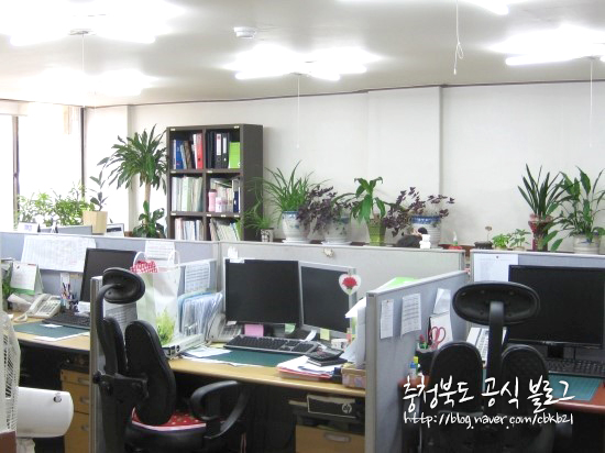 가온직업소개소 이미지
