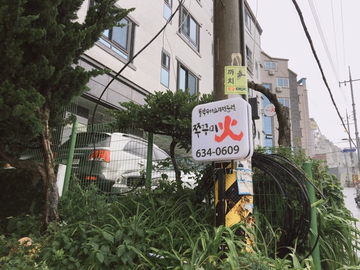 쭈꾸미화 이미지