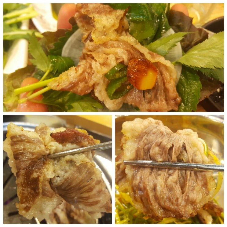 뚱브라더스 이미지