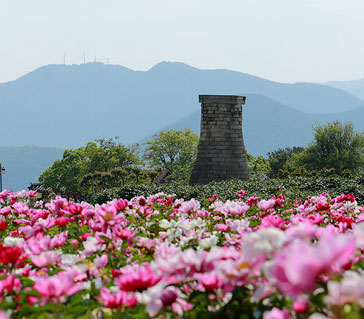 첨성대하우스 이미지