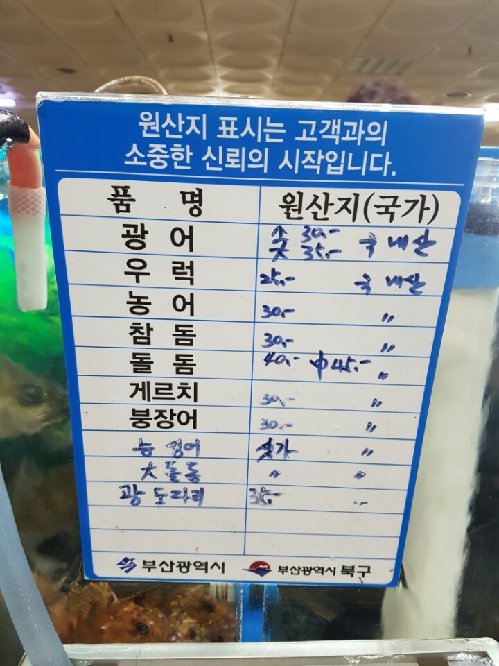 광선회센타 이미지