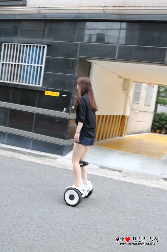 지그나인 이미지