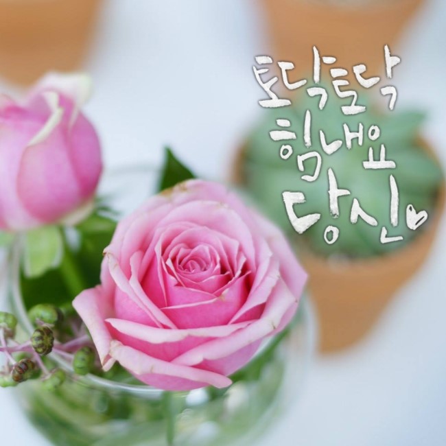 플라워노트 이미지