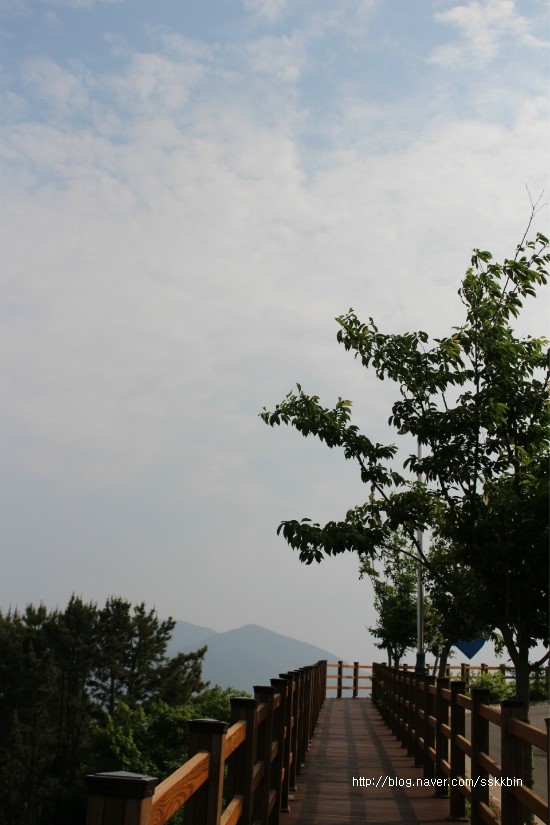 섬-달갤러리 이미지