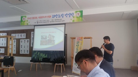드림컨설팅 이미지
