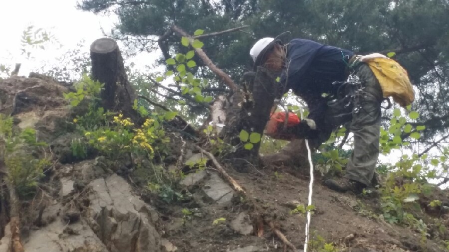 흥국주유소 이미지