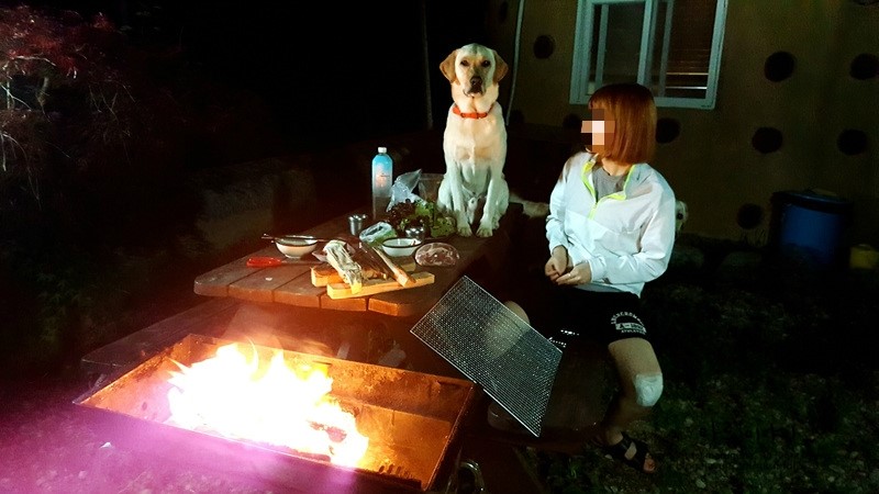 마루고기 이미지