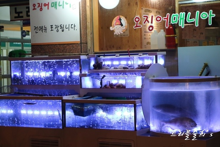 매니아수족관 이미지