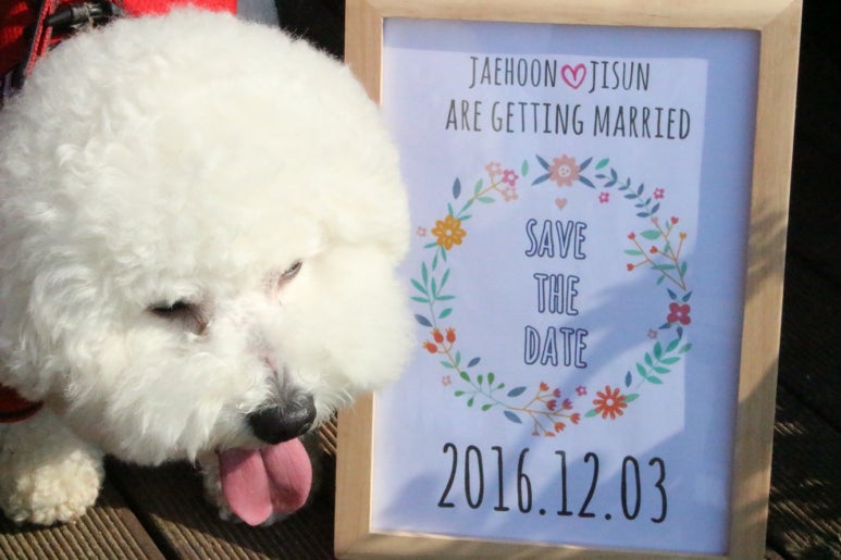 세이브더데이트(Save The Date) 이미지