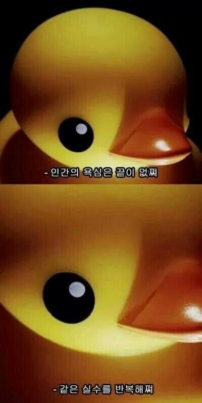 아프리크 이미지