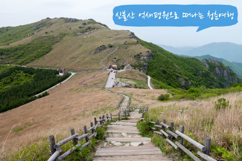 청춘불고기 이미지