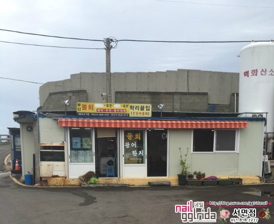 일광물회 이미지