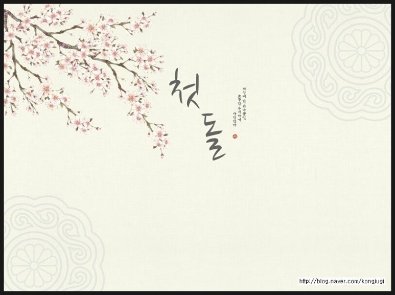 베이비꼬망 이미지