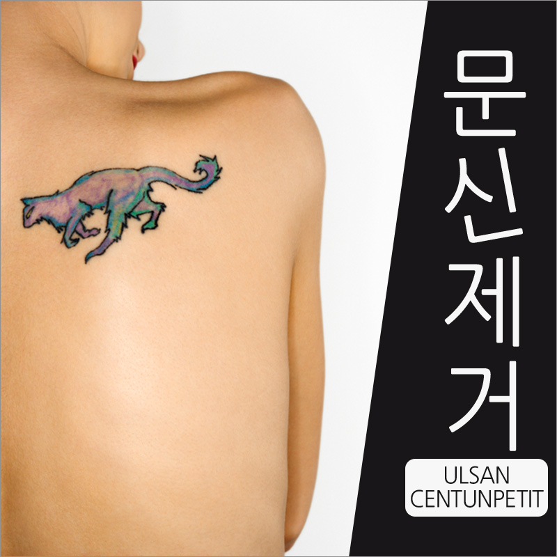 쓱쓱싹싹 이미지