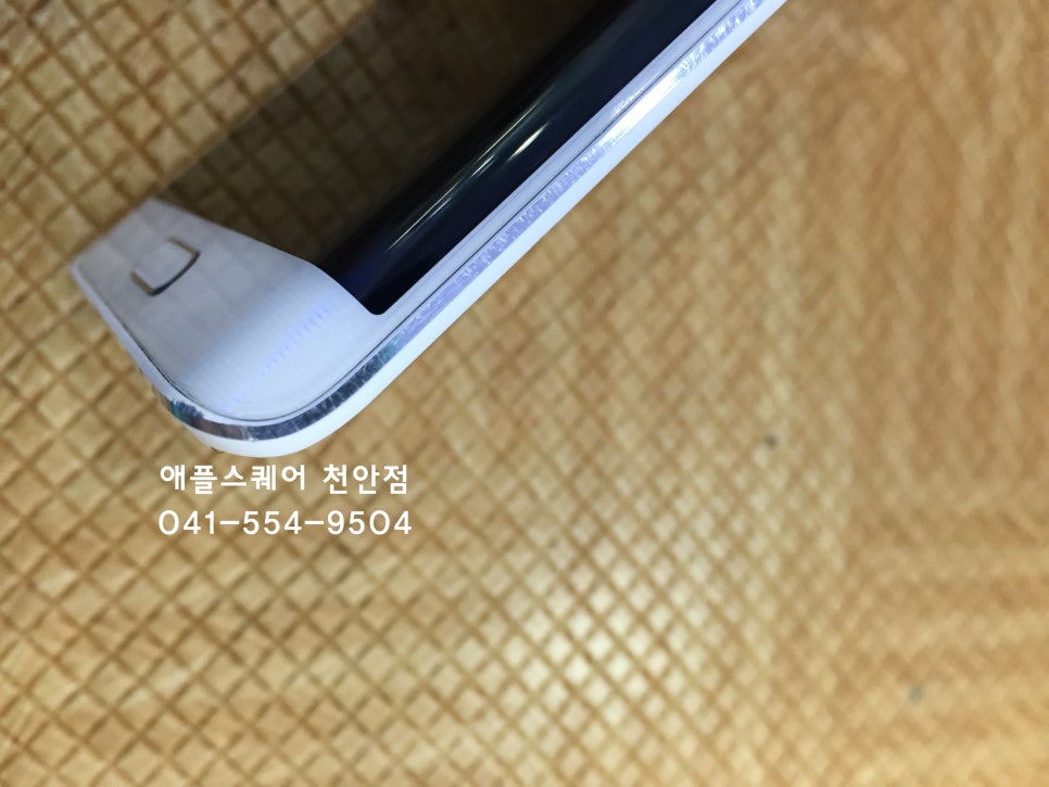 애플쉴드 이미지
