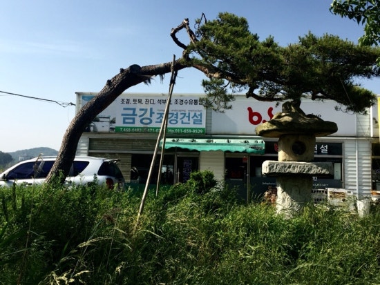 금강조경 이미지