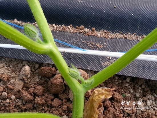 20160530_190757.jpg?type=w2