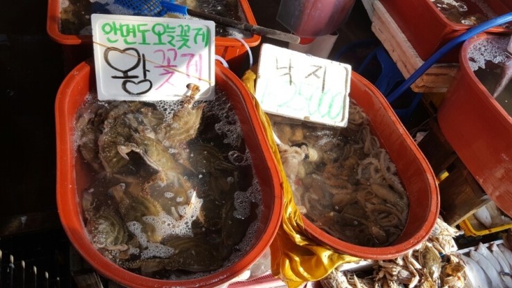 흥진수산 이미지