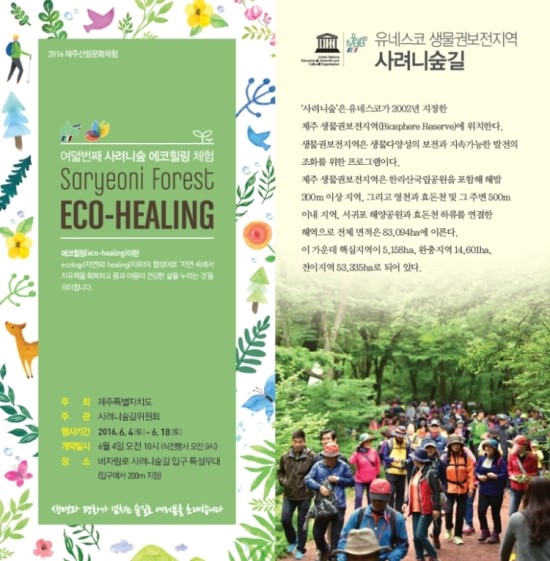 사려니숲 이미지