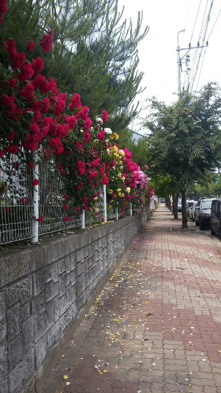 한국직무스트레스센터 이미지
