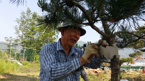 박선녀한과 이미지