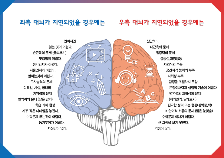 두뇌의 구조와 각 부위의 기능 : 네이버 블로그