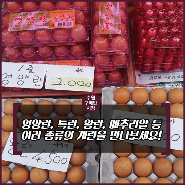 하림닭집 이미지