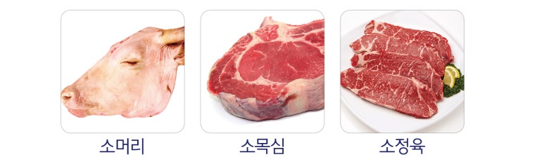 초아유통 이미지