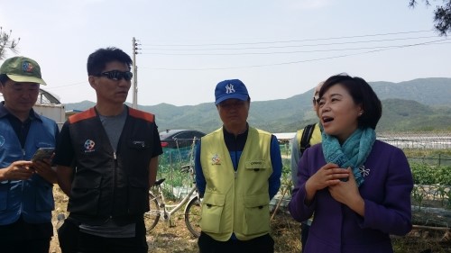 박선녀한과 이미지