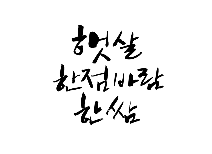 인스브레인 이미지