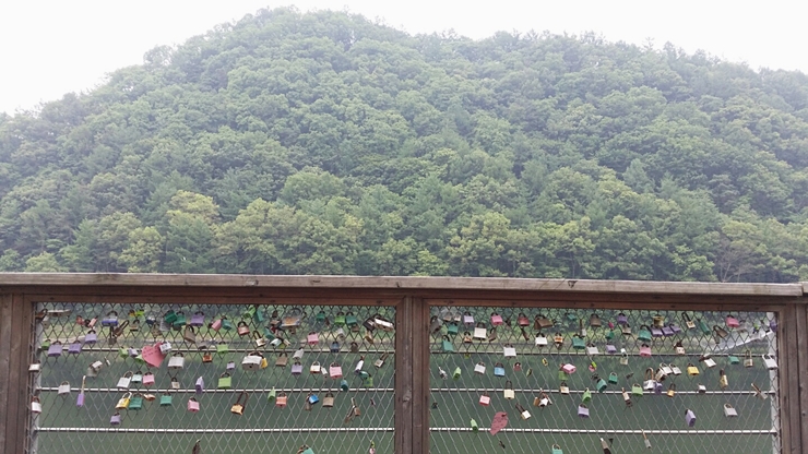 금강파라솔 이미지