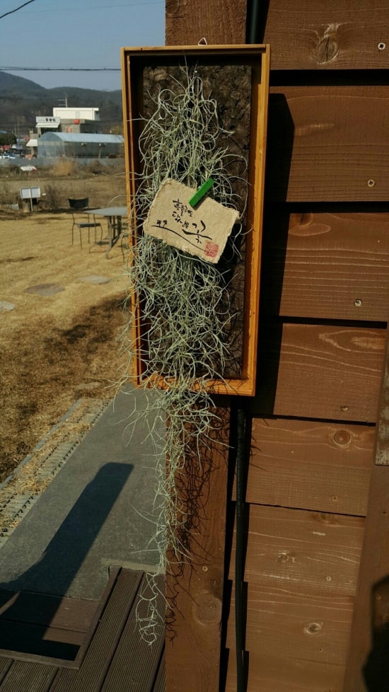 탄화코르크 이미지