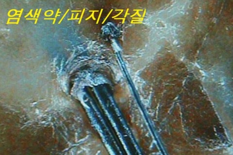 닥터포헤어안산 이미지