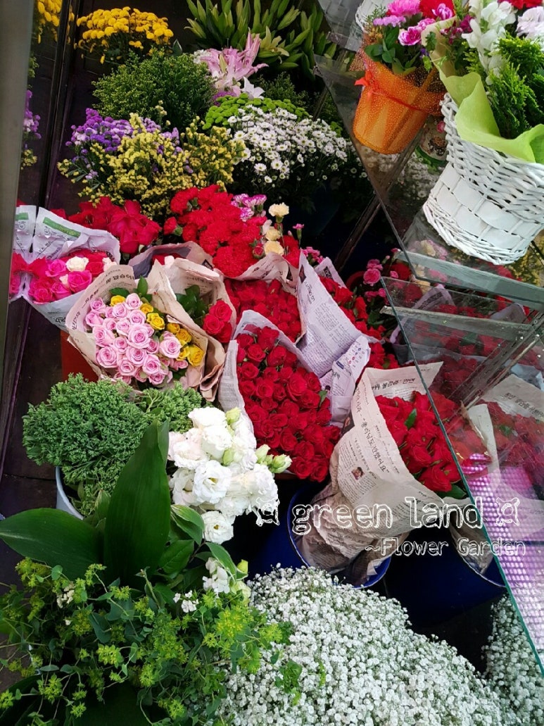 녹색꽃화원 이미지