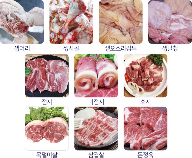 초아유통 이미지