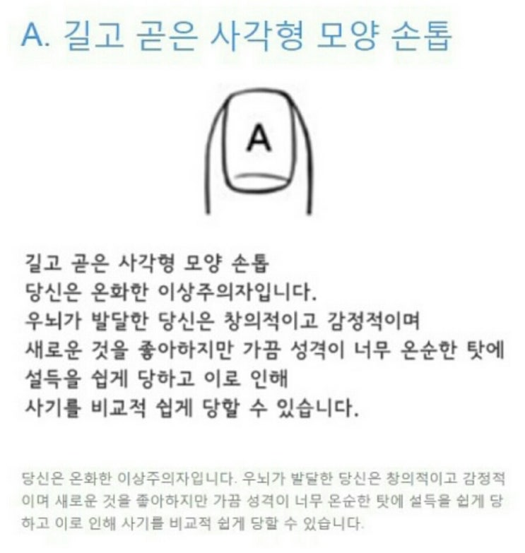 손톱모양 이미지