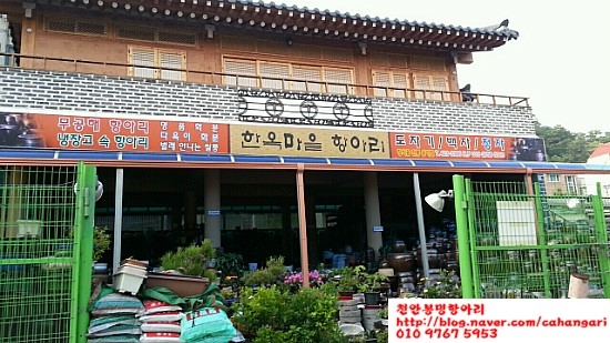 문학동항아리화분 이미지