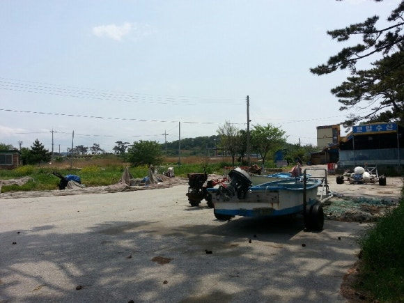 바다커피호프 이미지